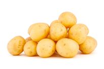 Potatoes Baby - Minik Patates
