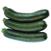 Green Courgette - Kabak Yesil