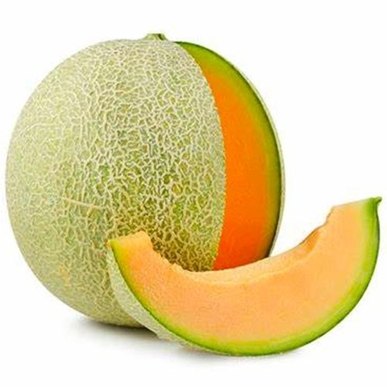 Melon Cantaloupe Orange - Turuncu Ananas Kavun