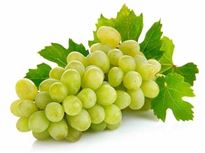 Green Grape - Yesil Uzum 