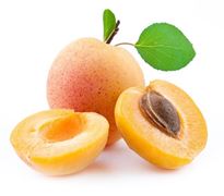 Apricot - Kayisi