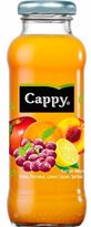 Cappy - Mix Fruit - Karisik 