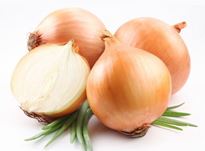 Onion - Kuru Sogan