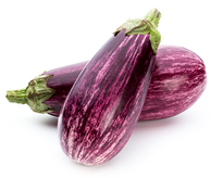 Italian Aubergine - Patlican - Eggplant