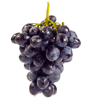 Black Seedless Grapes - Siyah Cekirdeksiz Uzum