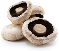 Large Flat Mushrooms - Mantar