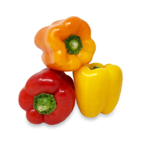 Mixed Sweet Peppers