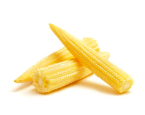 Baby Corn - Minik Misir