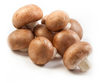 Chestnut Mushroom - Kestane Mantari 