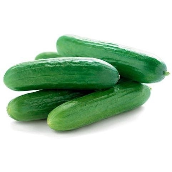 Turkish Cengelkoy Salatalik - Cucumber
