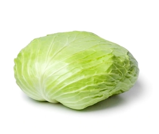 Large Flat Cabbage - Turk Lahanasi
