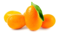 Kumquats - Kumkat