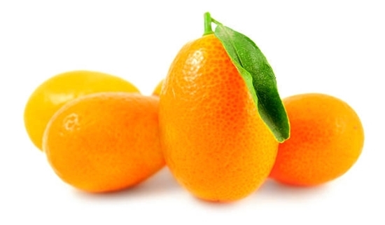 Kumquats - Kumkat