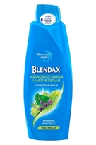 Blendax – Shampoo For Oily Scalp – Yagli Saclar Icin Sampuan