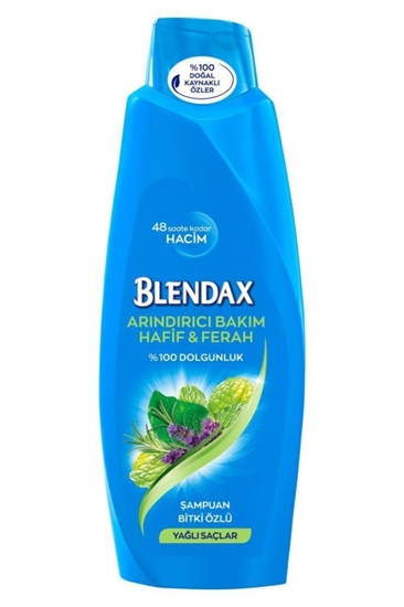 Blendax – Shampoo For Oily Scalp – Yagli Saclar Icin Sampuan